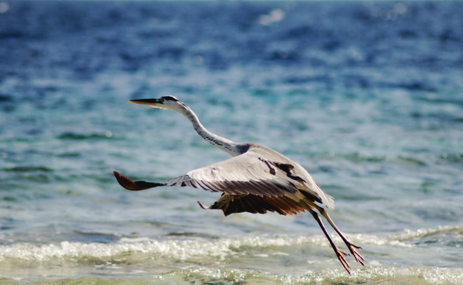 5560592965_138d86ff92_b