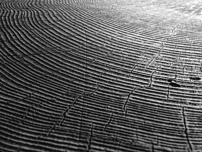 14258973936_92171f54ef_o